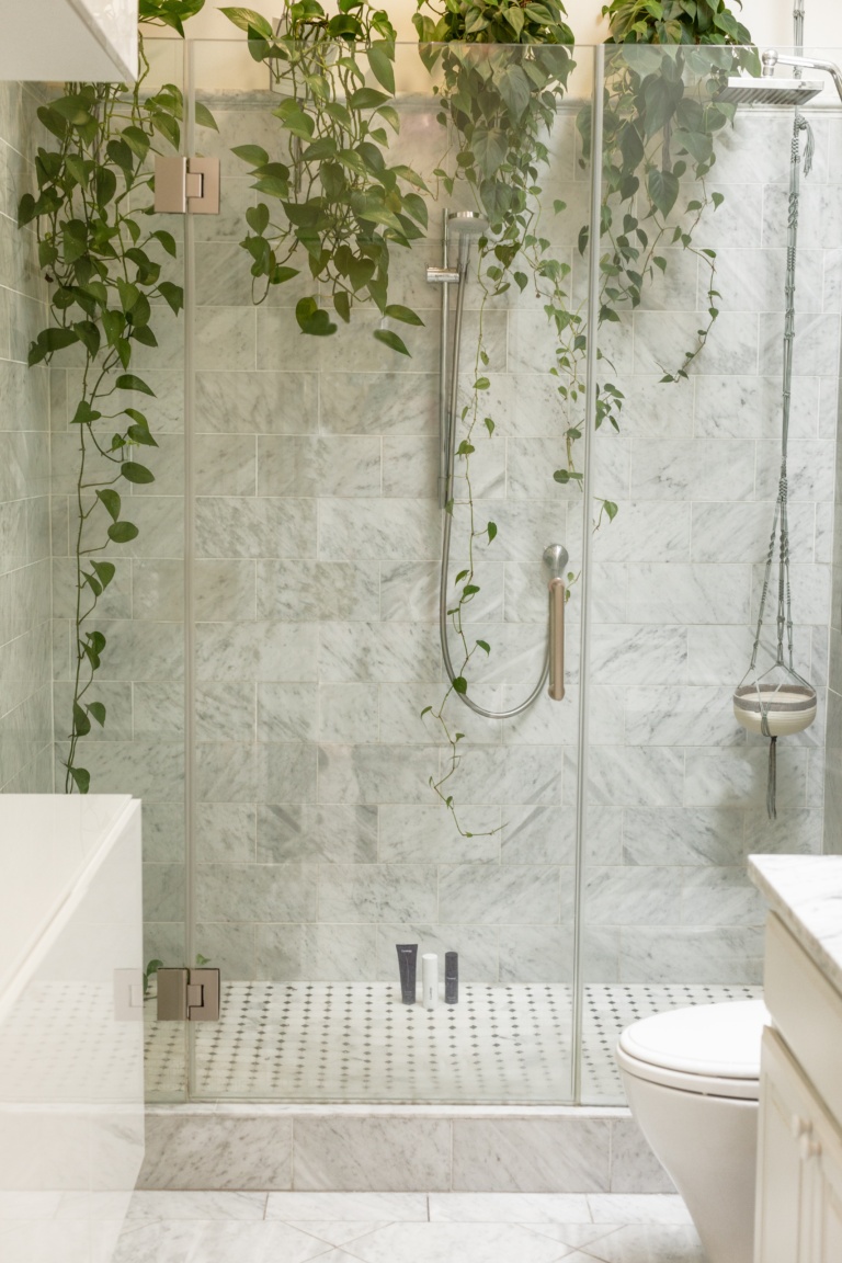 shower screen with plants